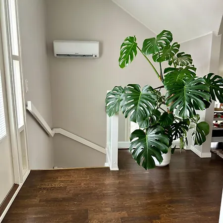 Lumikontupa * Jyväskylä